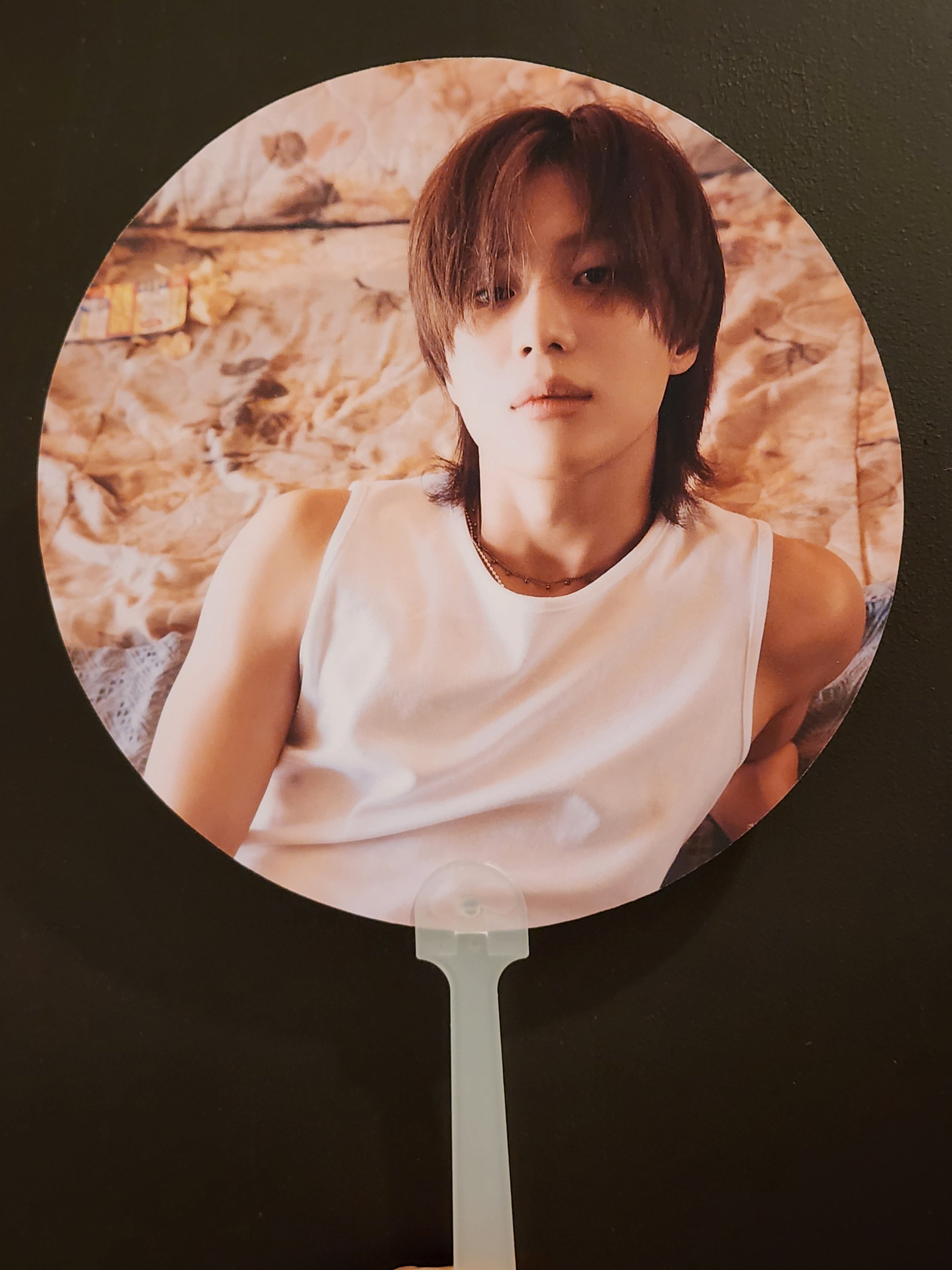 EXO Baekhyun Non-Transparent Fan / Picket / Image Picket / Kpop Bias Picket / Kpop Bias Flag / Kpop Name Sign