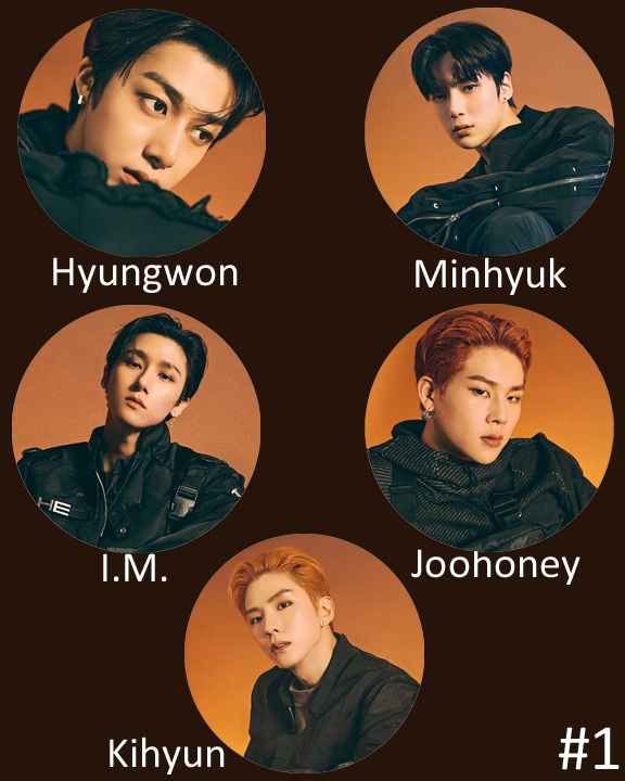 Monsta X "No Limit" Non-Transparent Fan / Picket / Image Picket / Kpop Bias Picket / Kpop Bias Flag / Kpop Name Sign