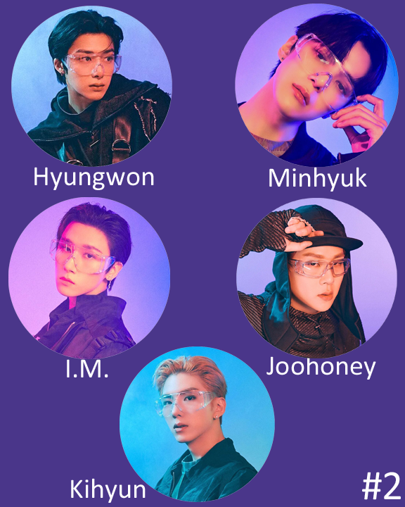 Monsta X "No Limit" Non-Transparent Fan / Picket / Image Picket / Kpop Bias Picket / Kpop Bias Flag / Kpop Name Sign