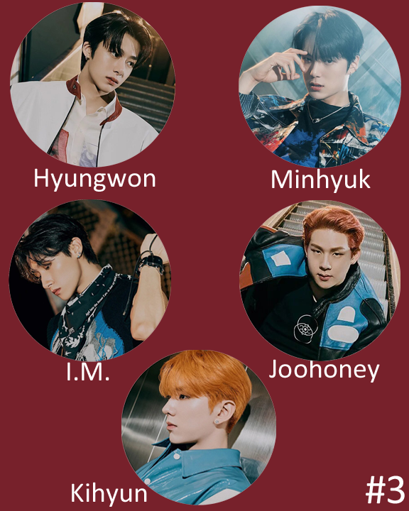 Monsta X "No Limit" Non-Transparent Fan / Picket / Image Picket / Kpop Bias Picket / Kpop Bias Flag / Kpop Name Sign