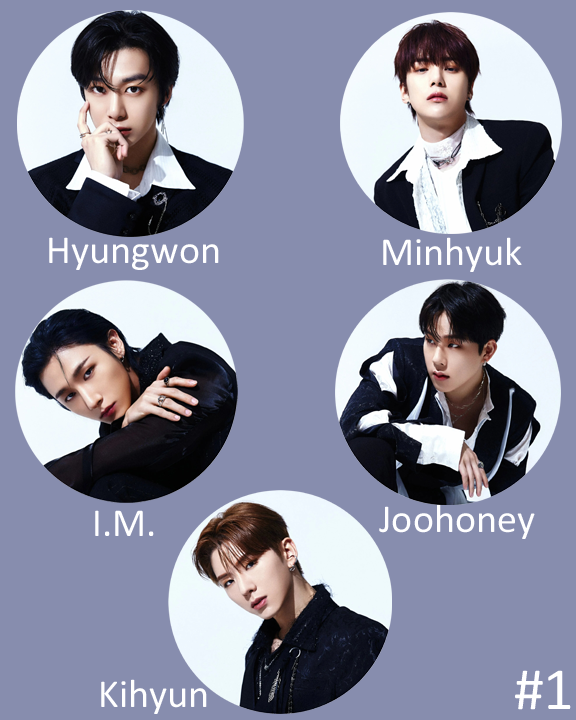 Monsta X "Shape of Love" Non-Transparent Fan / Picket / Image Picket / Kpop Bias Picket / Kpop Bias Flag / Kpop Name Sign