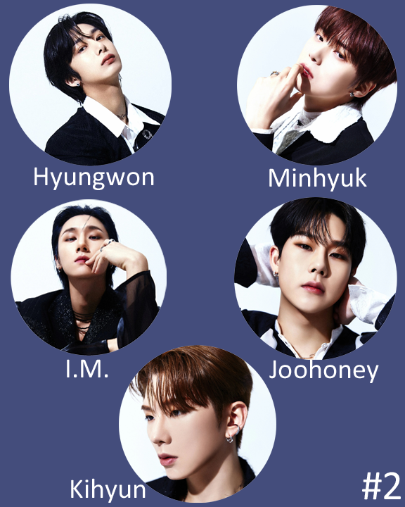 Monsta X "Shape of Love" Non-Transparent Fan / Picket / Image Picket / Kpop Bias Picket / Kpop Bias Flag / Kpop Name Sign
