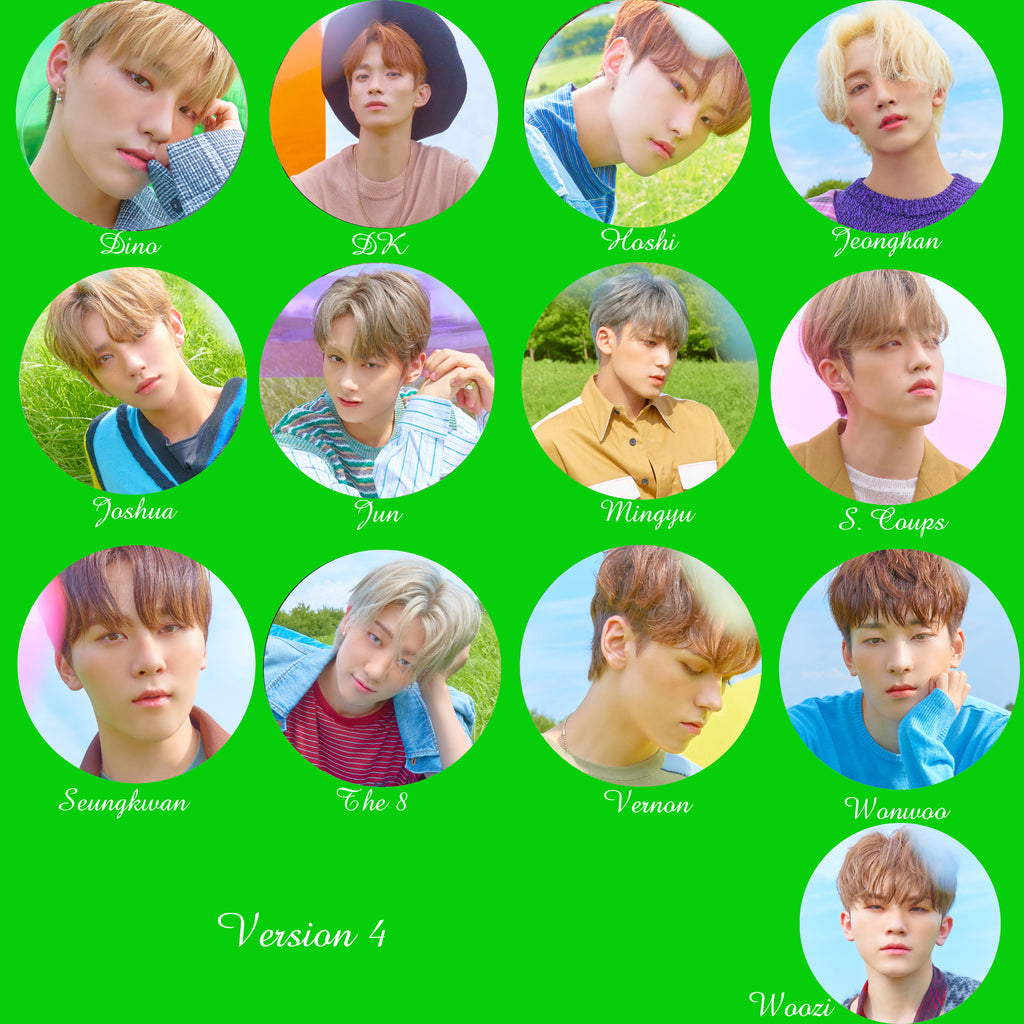 Seventeen Non-Transparent Fan / Picket / Image Picket / Kpop Bias Picket / Kpop Bias Flag / Kpop Name Sign