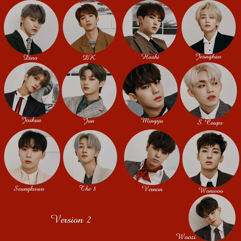 Seventeen Non-Transparent Fan / Picket / Image Picket / Kpop Bias Picket / Kpop Bias Flag / Kpop Name Sign