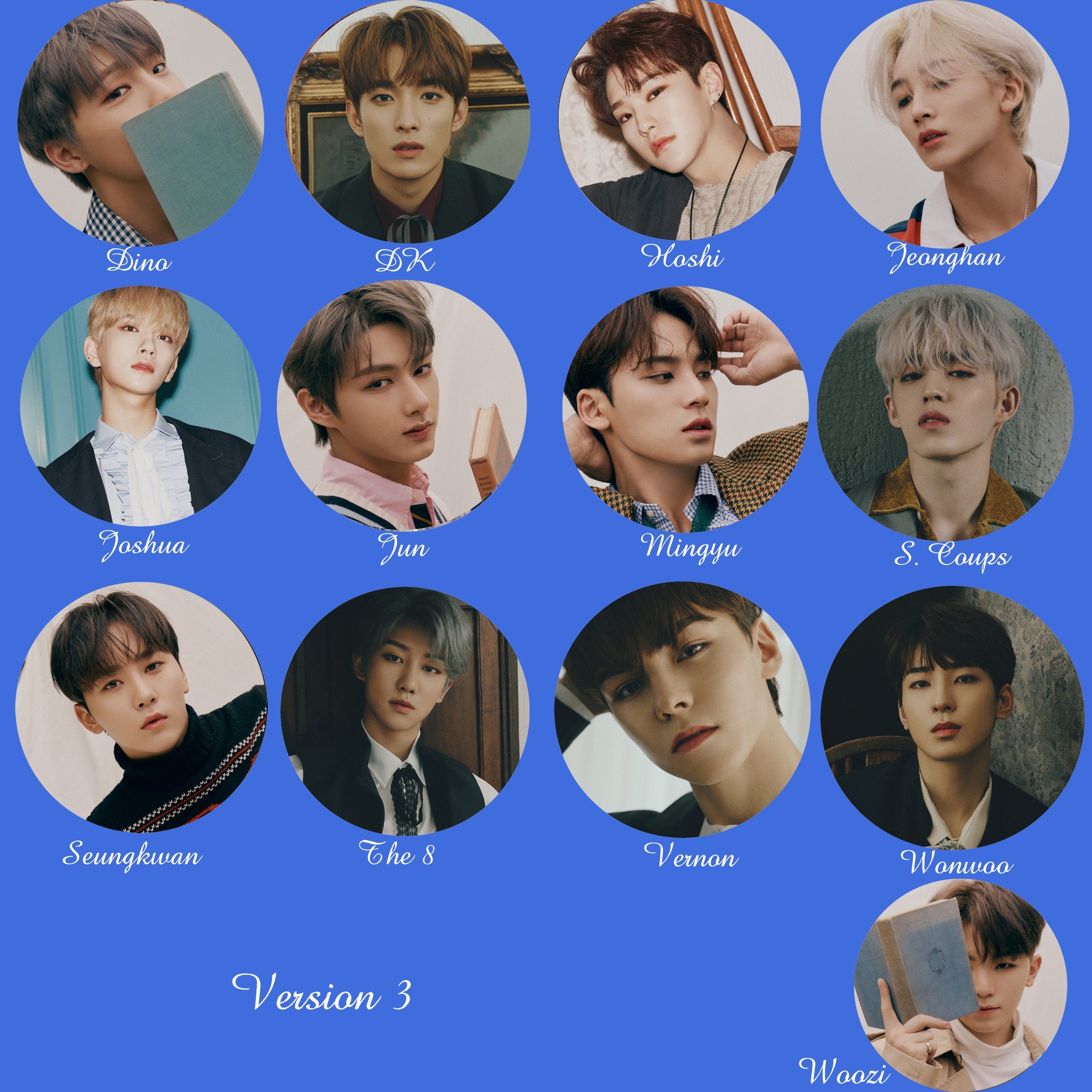 Seventeen Non-Transparent Fan / Picket / Image Picket / Kpop Bias Picket / Kpop Bias Flag / Kpop Name Sign