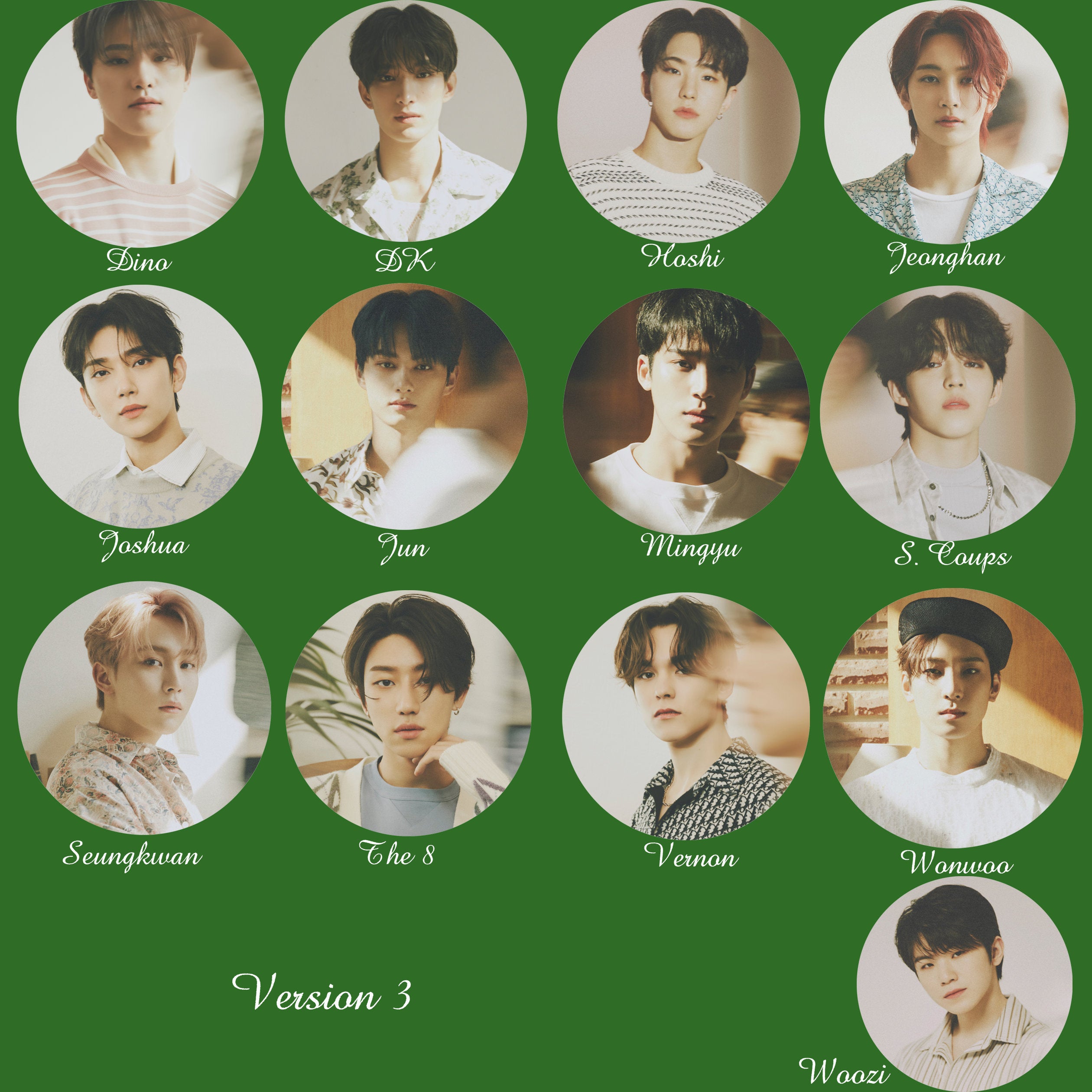 Seventeen "Your Choice" Non-Transparent Fan / Picket / Kpop Bias Picket / Kpop Bias Flag / Kpop Name Sign