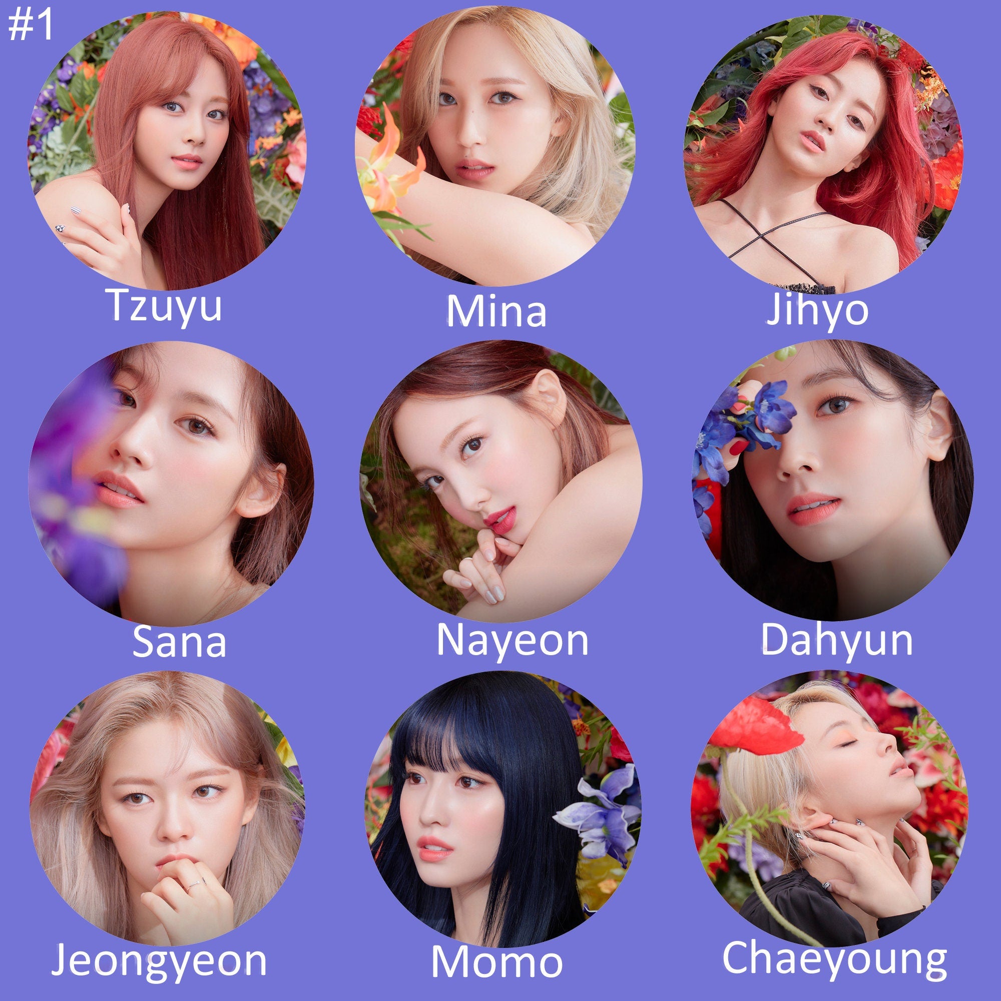 Twice "Eyes Wide Open" Non-Transparent Fan / Picket / Image Picket / Kpop Bias Picket / Kpop Bias Flag / Kpop Name Sign