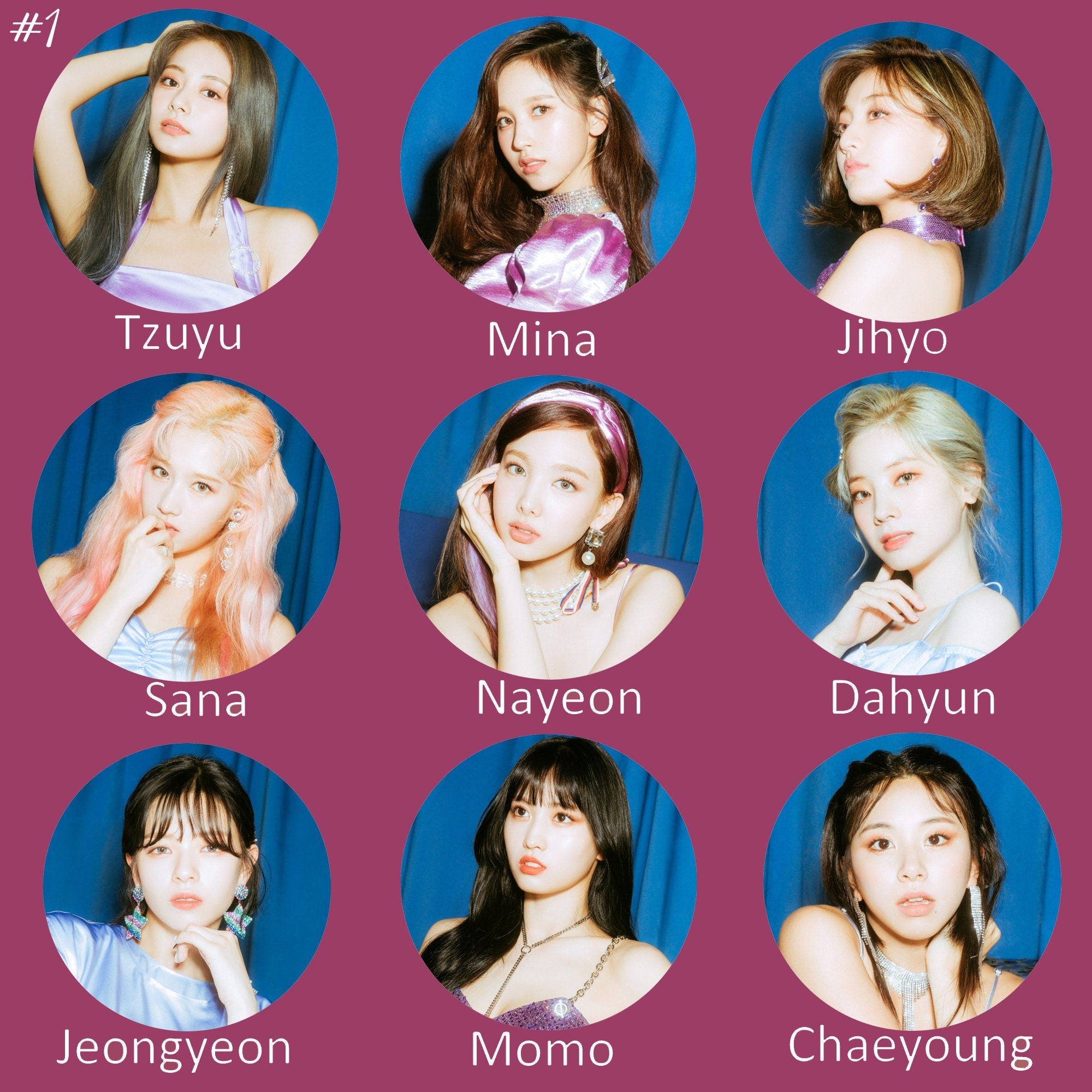 Twice "Feel Special" Non-Transparent Fan / Picket / Image Picket / Kpop Bias Picket / Kpop Bias Flag / Kpop Name Sign