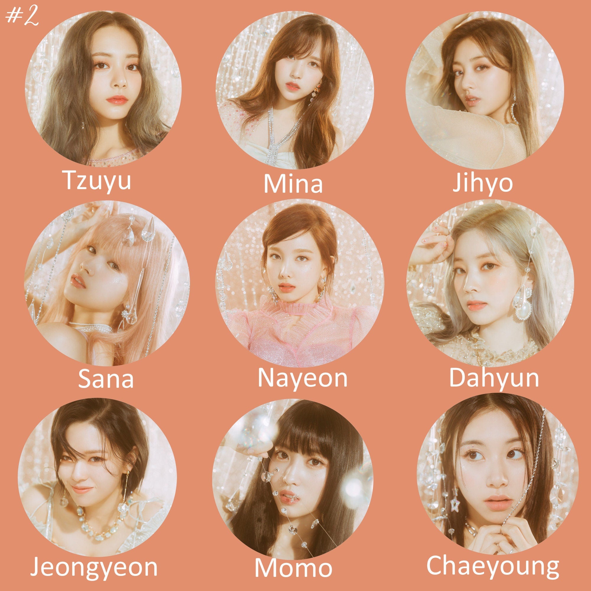 Twice "Feel Special" Non-Transparent Fan / Picket / Image Picket / Kpop Bias Picket / Kpop Bias Flag / Kpop Name Sign