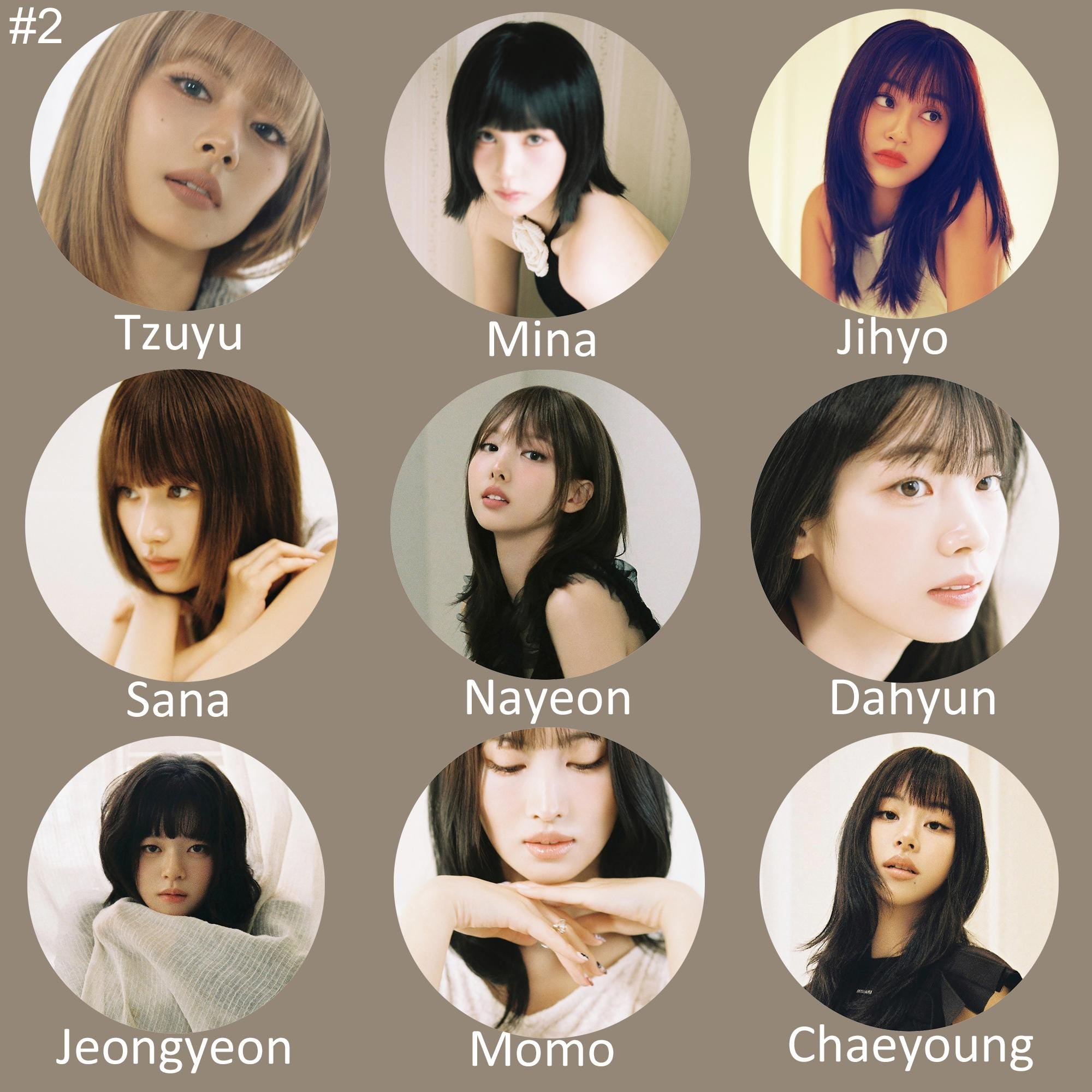 Twice "Strategy" Non-Transparent Fan / Picket / Image Picket / Kpop Bias Picket / Kpop Bias Flag / Kpop Name Sign