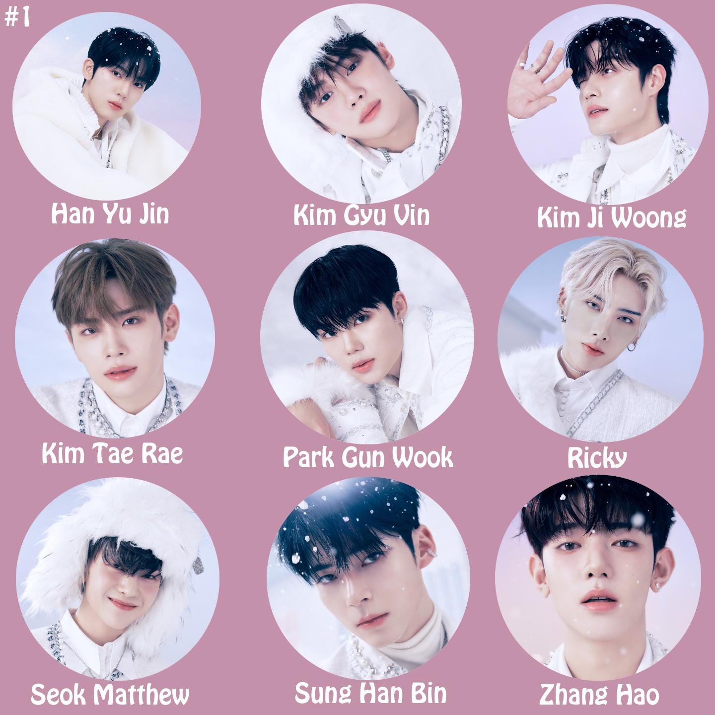 ZEROBASEONE "Melting Point" Non-Transparent Fan / Picket / Image Picket ZB1 / Kpop Bias Picket / Kpop Bias Flag / Kpop Name Sign