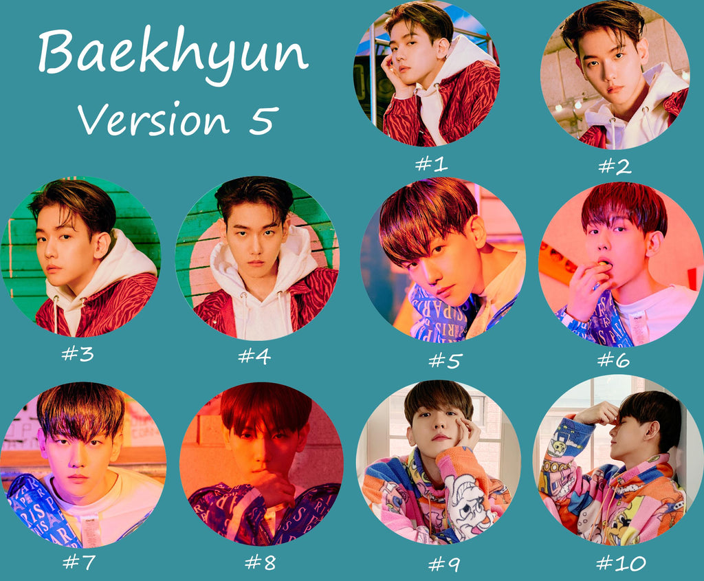 EXO Baekhyun Non-Transparent Fan / Picket / Image Picket / Kpop Bias Picket / Kpop Bias Flag / Kpop Name Sign