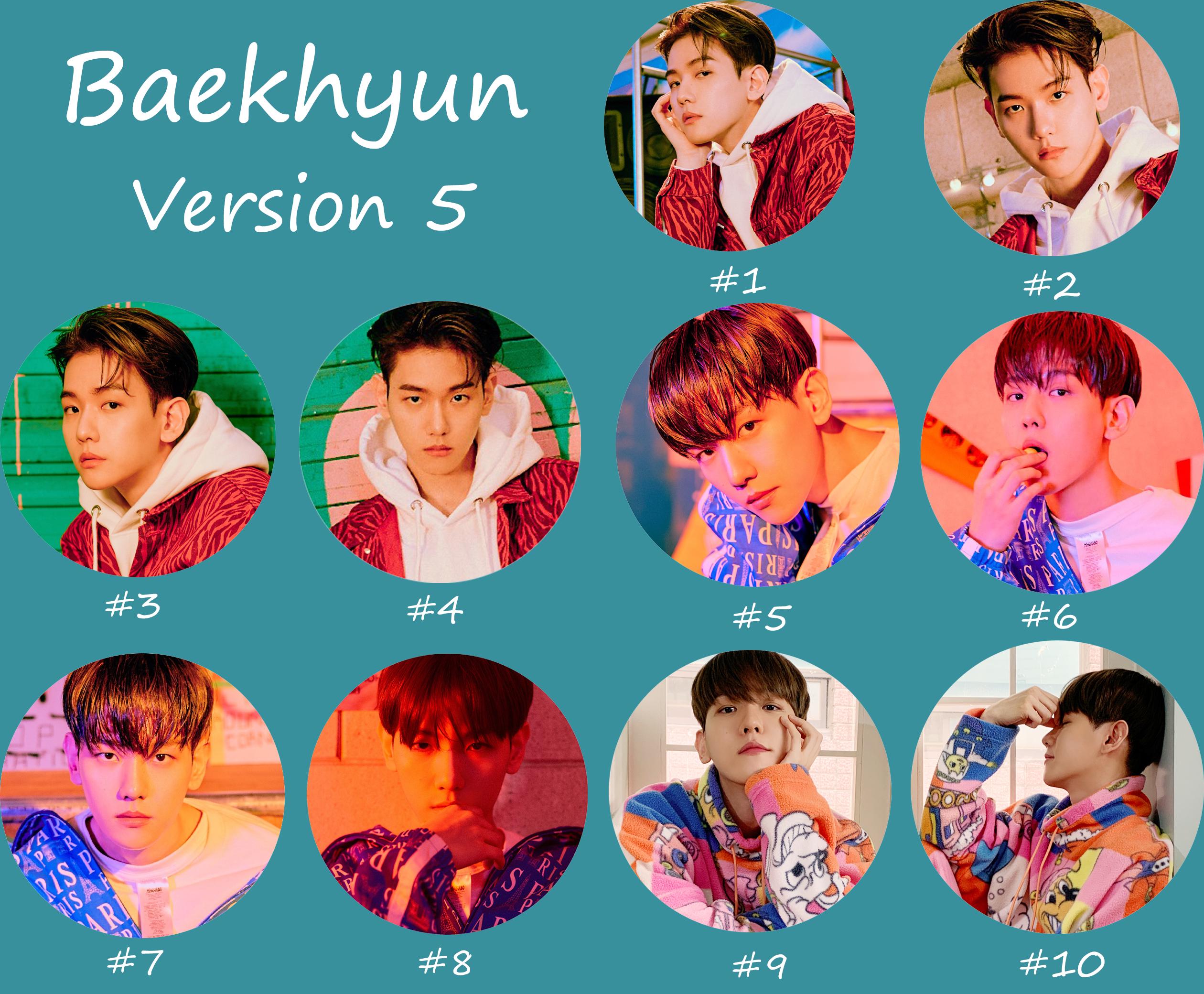 EXO Baekhyun Non-Transparent Fan / Picket / Image Picket / Kpop Bias Picket / Kpop Bias Flag / Kpop Name Sign