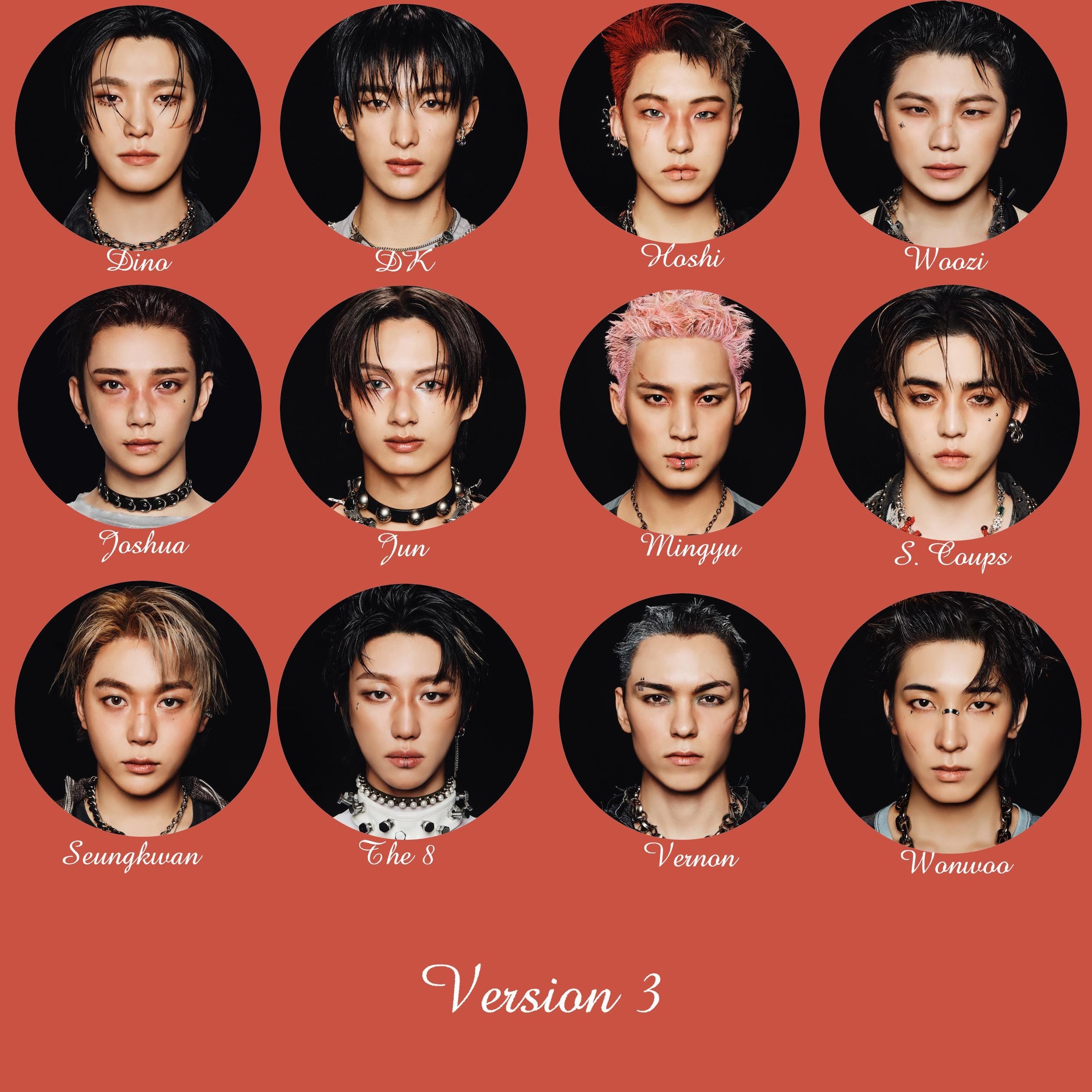 Seventeen "Happy Burstday" Non-Transparent Fan / Picket / Image Picket / Kpop Bias Picket / Kpop Bias Flag / Kpop Name Sign