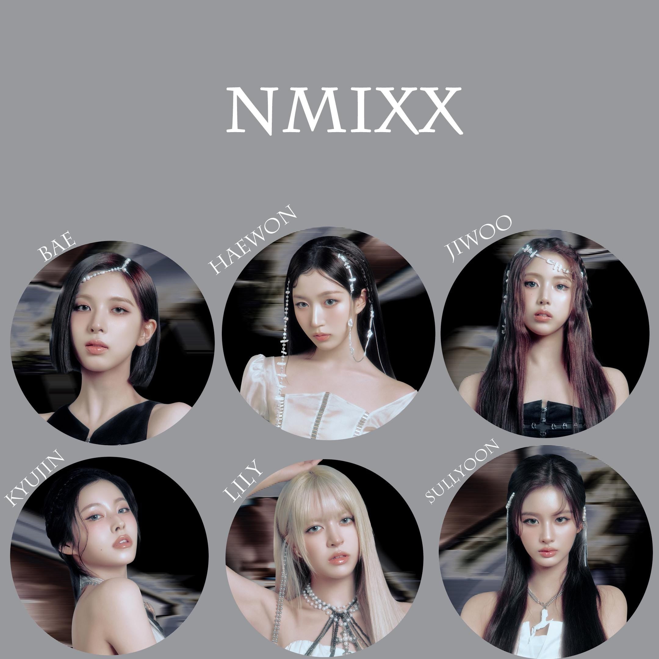 NMIXX World Tour "Episode 1: Zero Frontier" Non-Transparent Fan / Picket / Image Picket / Kpop Bias Picket / Kpop Bias Flag / Kpop Name Sign